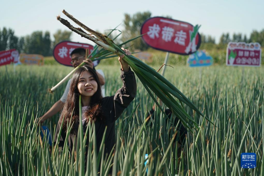 巴黎人官网注册